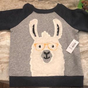Boys sweatshirt